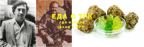 СК Алексин
