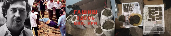 СК Алексин