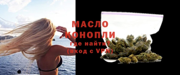 СК Алексин