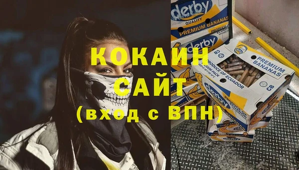 СК Алексин