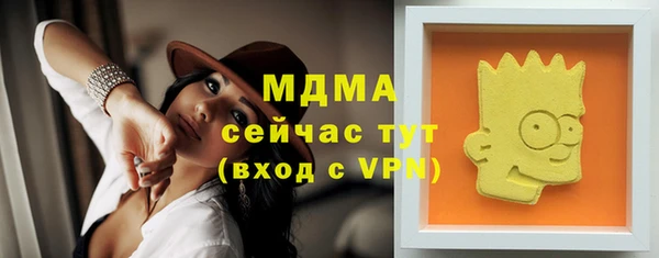 СК Алексин