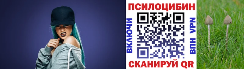 Псилоцибиновые грибы мухоморы магазин наркотиков Бердск